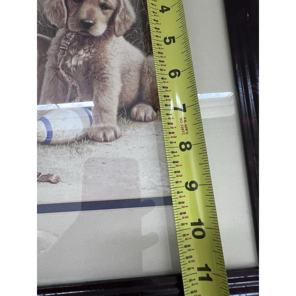 Jim Lamb Wide Retriever Framed Print Golden Retriever Puppy Football Dog Art